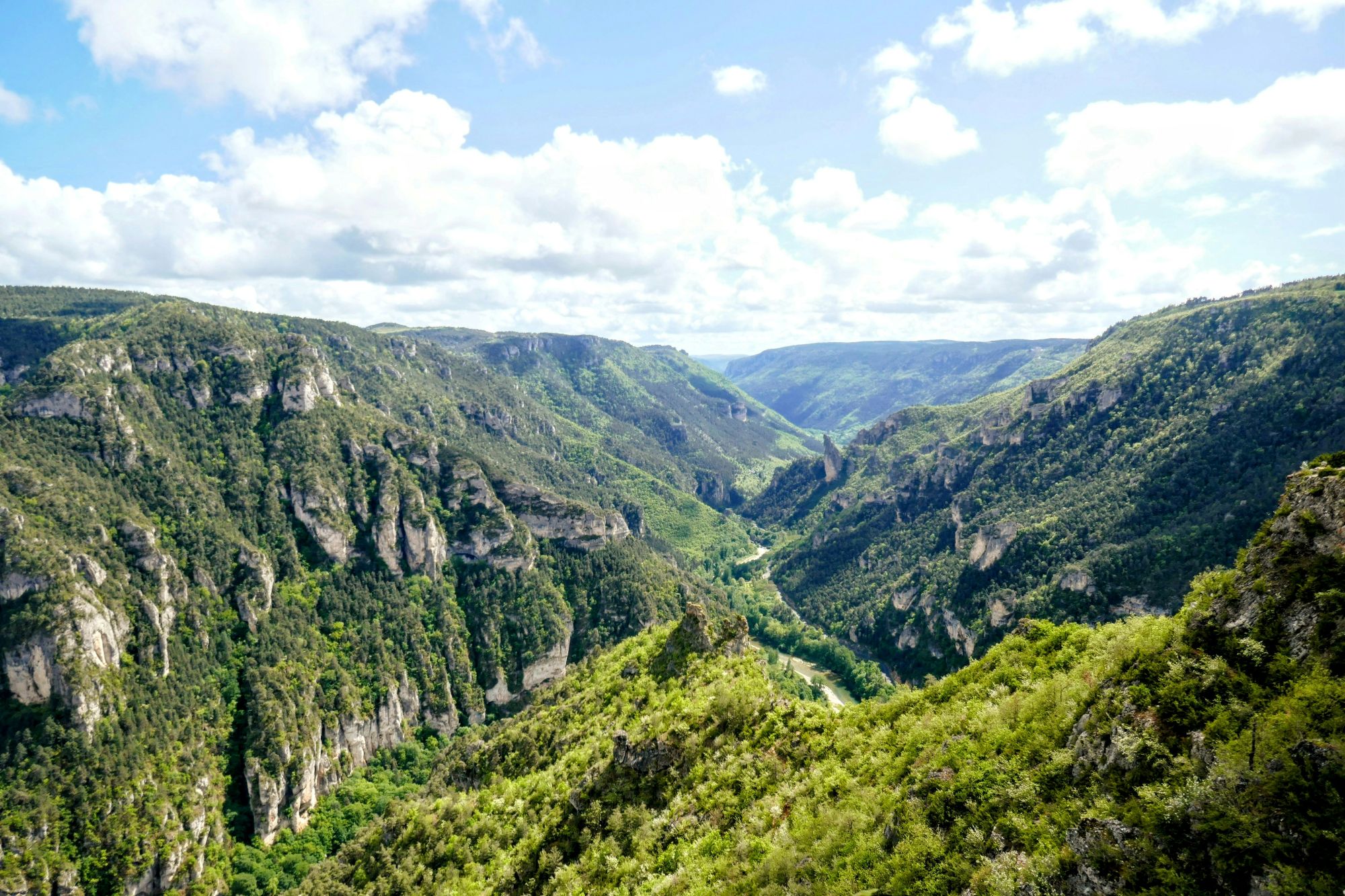 Cover Image for Bivouac Cévennes : Guide Ultime Pour Dormir Sous Les Étoiles