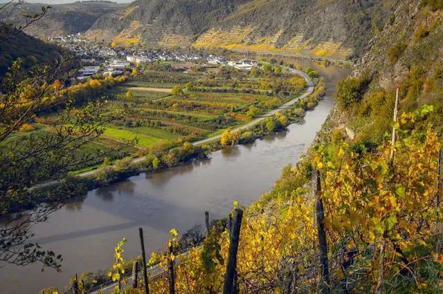 Le vignoble de Moselle